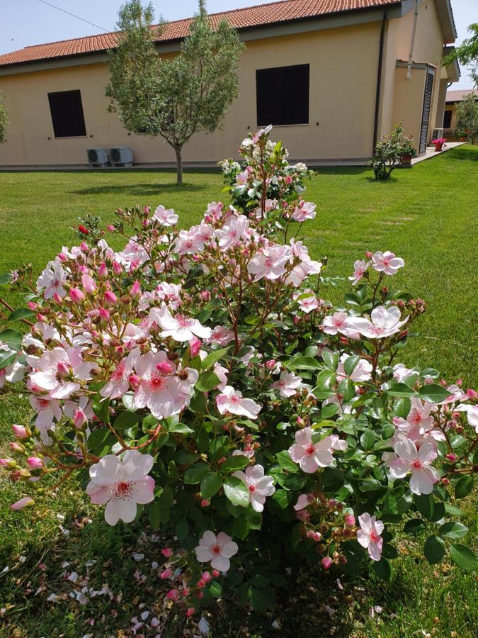 Agriturismo Severini Fonteblanda Exterior foto